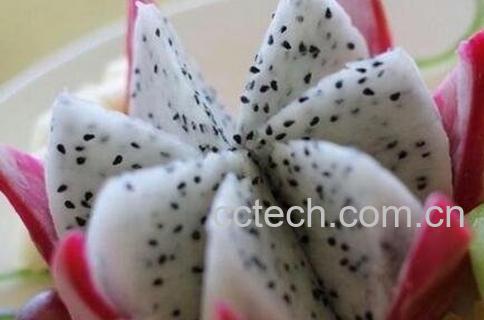 白色火龙果能治便秘吗 吃白色火龙果的好处-0