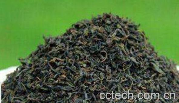 辣木茶的功效与作用 喝辣木茶的好处-1