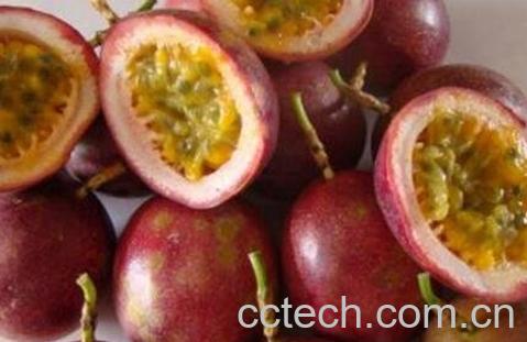 白香果皮的功效与作用-0