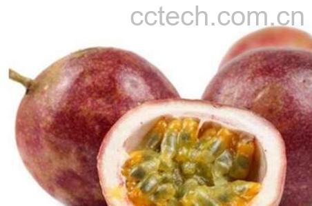 白香果皮的功效与作用-1