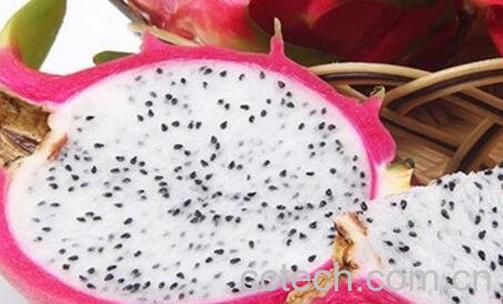 白肉火龙果和红肉火龙果的区别-0