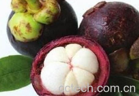 山竹果的功效与作用 山竹果怎么吃-1