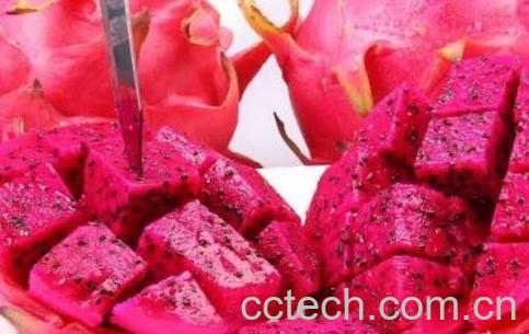 红色火龙果的功效-0