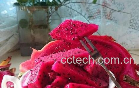 红色火龙果的功效-1