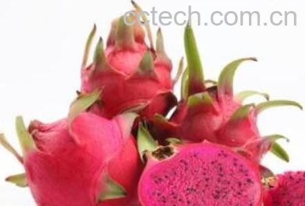 吃火龙果有哪些好处和坏处-0