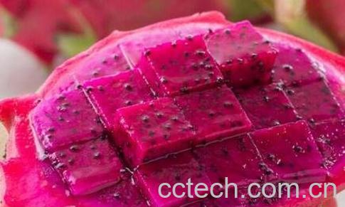 吃火龙果有哪些好处和坏处-1