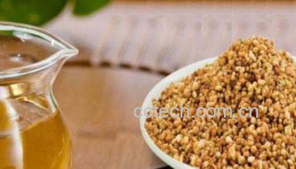 荞麦茶怎么泡 苦荞茶的正确喝法-1