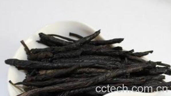 苦丁茶的功效与作用及冲泡方法-0