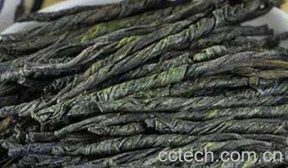 苦丁茶的功效与作用及冲泡方法-1