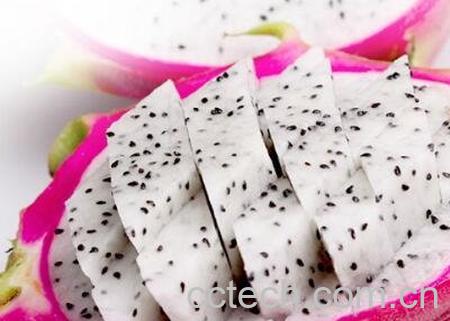 吃白心火龙果的好处和禁忌-1