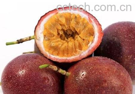 白香果皮泡水喝的功效与用处-0