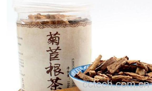 菊苣根茶的功效和作用 菊苣根茶有副作用吗-0