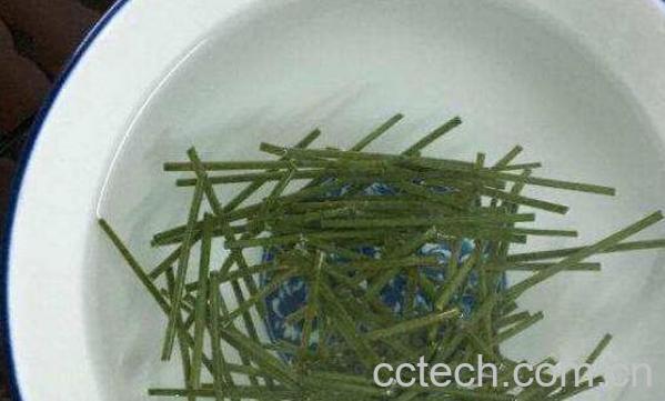 松针茶的制作方法 松针茶为什么不能多喝-0
