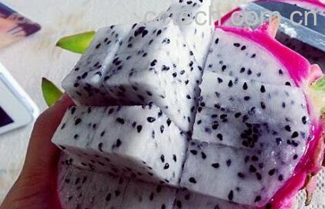 如何吃火龙果减肥 火龙果减肥方法技巧-1