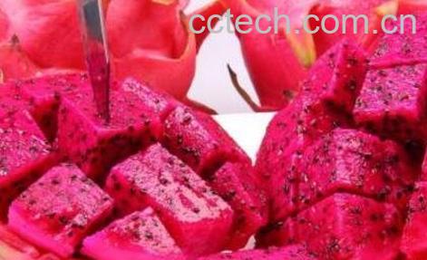 红心火龙果皮的功效与作用-1