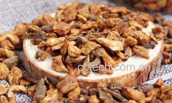 菊苣根茶怎么喝 菊苣根茶怎么泡-0