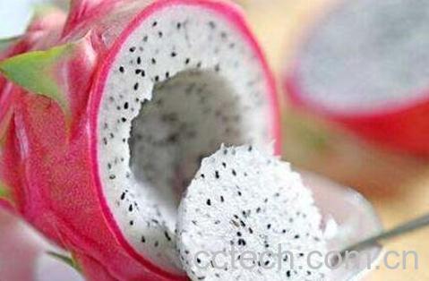 白色火龙果的功效与作用-0