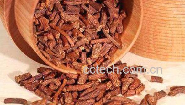 玉兰根茶的功效与作用及冲泡方法-1