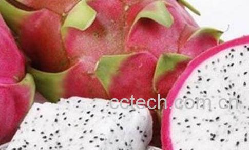 白肉火龙果的营养成份和营养价值-0