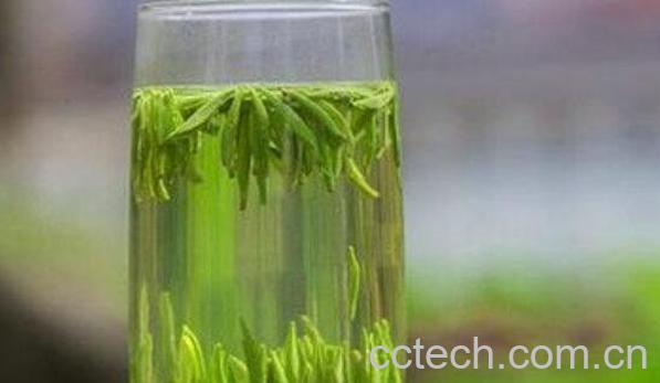 竹叶青茶叶的功效与作用-0