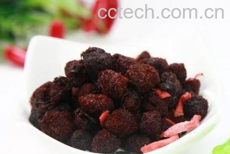 自制紫苏杨梅干的方法-0