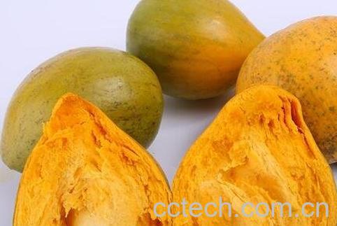 蛋黄果的功效与作用及食用方法-0