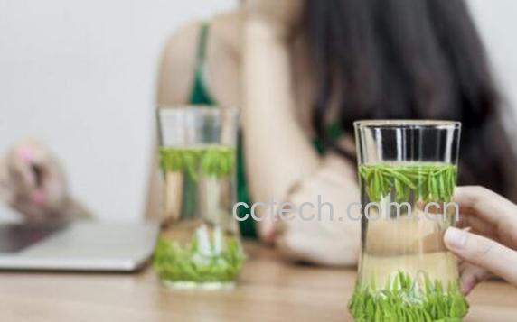 竹叶青茶的功效与作用-0