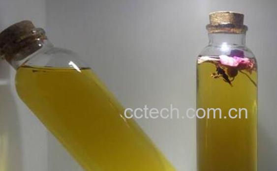 冷泡茶怎么泡 冷泡茶是怎么做的-0