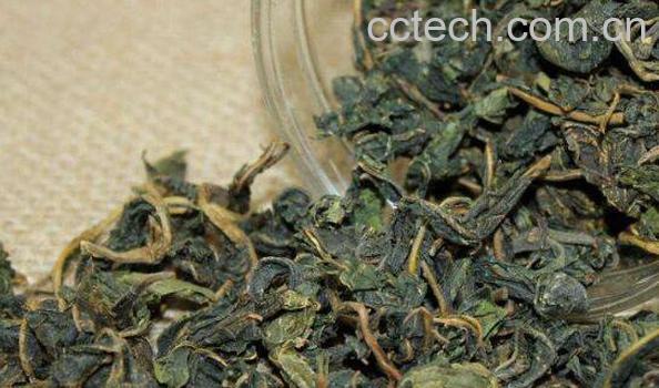 桑叶茶的功效与作用 桑叶茶的副作用-0