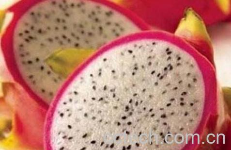 白色火龙果含花青素吗 花青素的功效与作用-0
