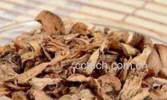 蒲公英根茶的功效与作用 蒲公英根茶能长期喝吗-0