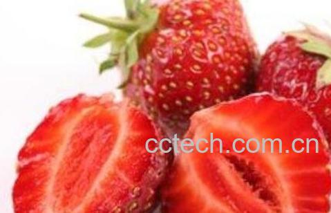 如何分辨激素草莓 激素草莓的危害-0