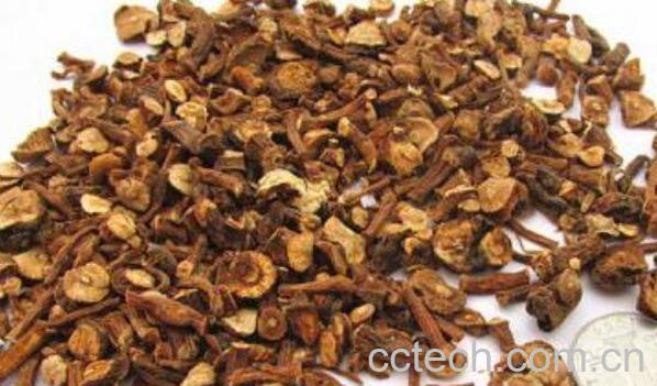  蒲公英根红茶的功效与作用 蒲公英根泡红茶的功效-0