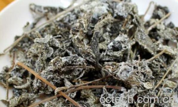 莓茶要洗茶吗 莓茶的正确冲泡方法-1