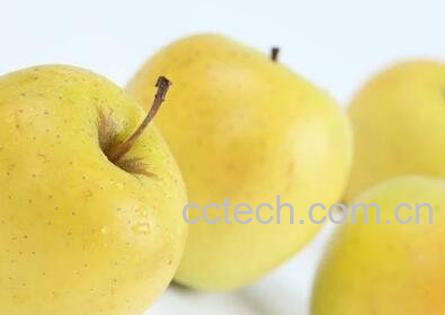 黄苹果的功效与作用-1