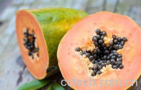 木瓜催熟的最快方法-0