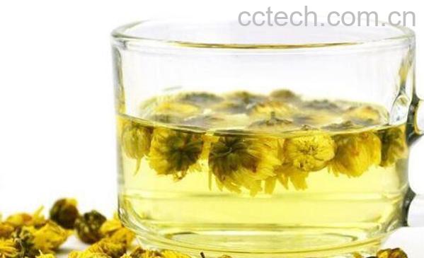 菊花茶的功效与作用 菊花茶的禁忌-1