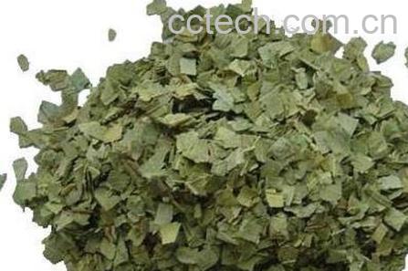 蕃石榴叶的功效与作用-0