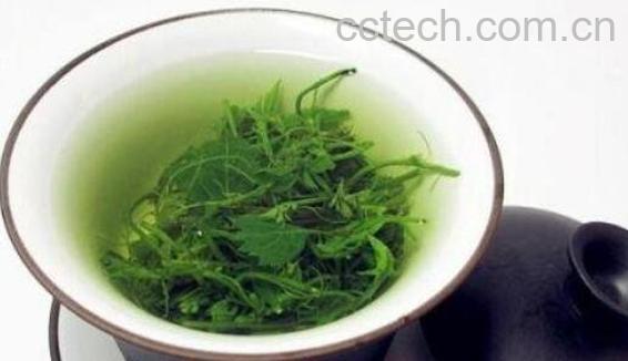 绞股蓝茶的功效与作用及冲泡方法-0