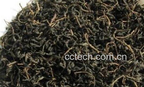 金钱柳茶的作用与功效-0