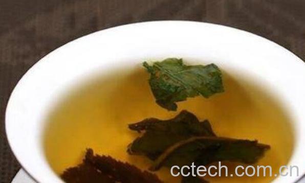 金钱柳茶的作用与功效-1