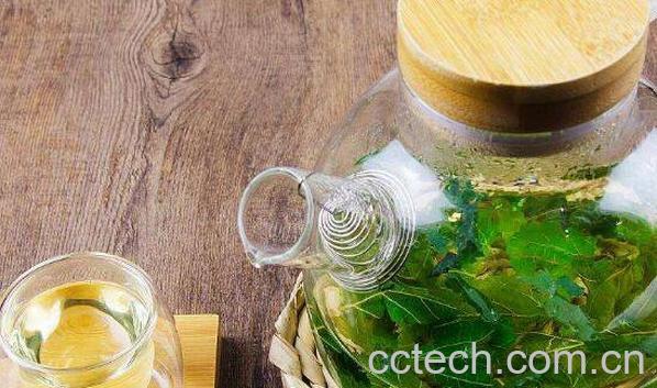 桑叶茶的功效与作用 桑叶茶不适合什么人喝-1