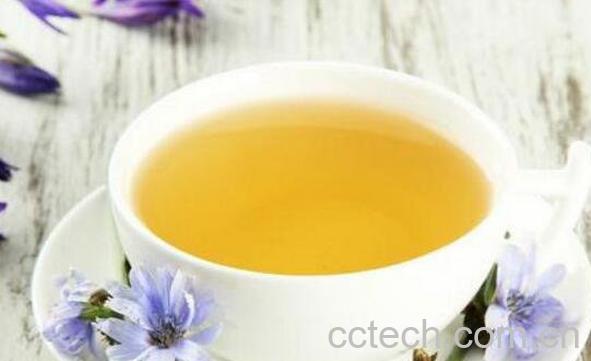 菊苣栀子茶的功效与作用 菊苣栀子茶骗局是怎么回事-1