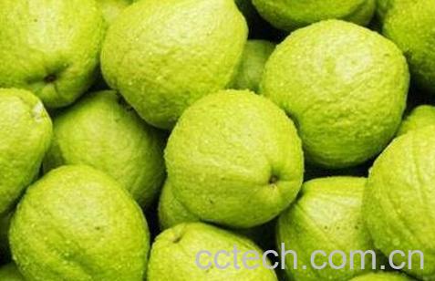 蕃石榴不能和什么一起吃 蕃石榴和什么相克-0