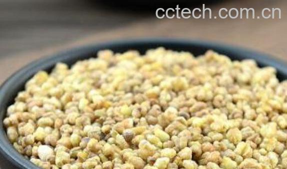 黄苦荞茶有什么作用-0