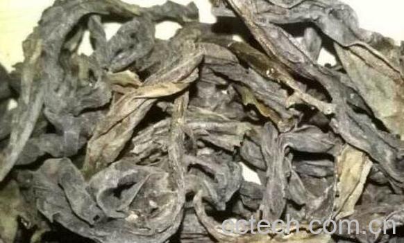 老枞水仙是什么茶 老枞水仙怎么泡-1