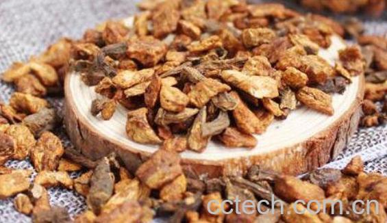 玉兰根茶的功效与作用-1