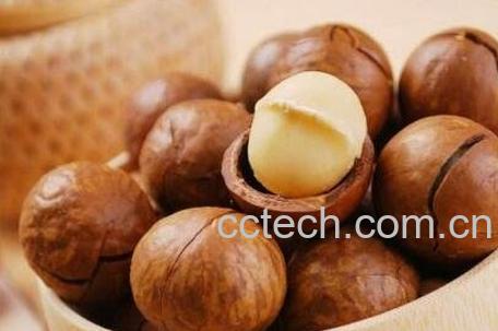 夏威夷果的药用价值-1