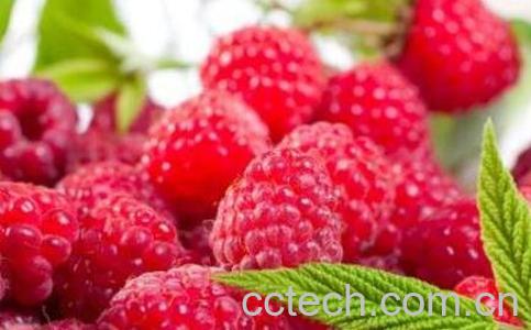 红树莓如何清洗 红树莓如何吃-1