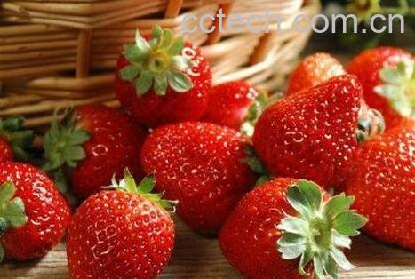 草莓怎么洗才干净 洗草莓的正确方法-0